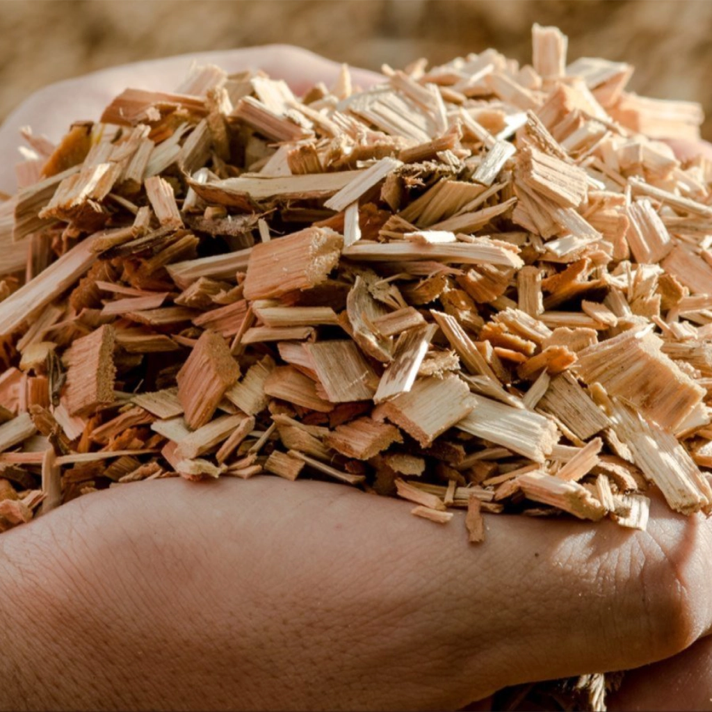 sudionici bioplin2026